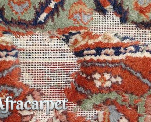 درچه نوع فرش هایی پوسیدگی رخ میدهد؟