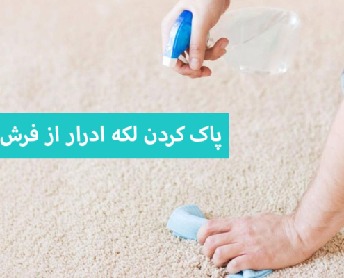 پاک کردن لکه ادرار از فرش